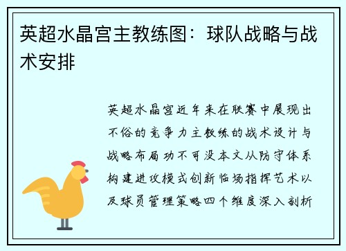 英超水晶宫主教练图：球队战略与战术安排